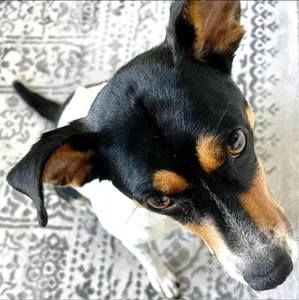 Meet your Posher, Claudia